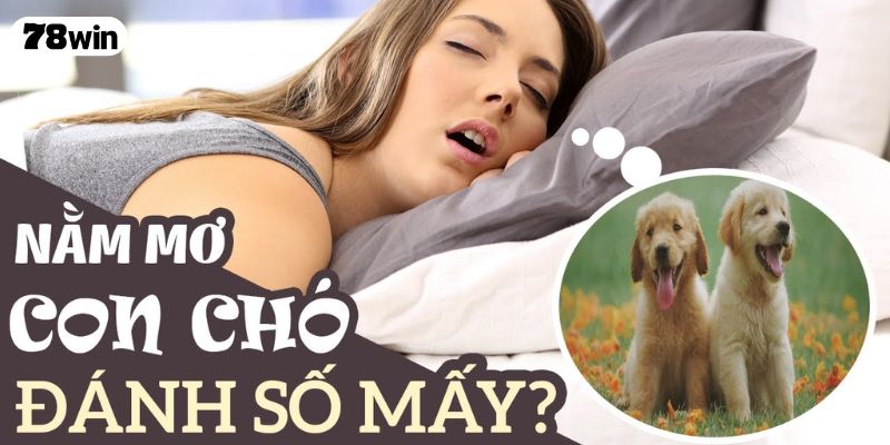 Nằm Mơ Thấy Chó Tốt Hay Xấu? Giải Mã Sự Thật Đằng Sau